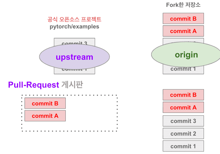 contributon-basic-git-6